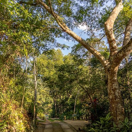 La Luciole Ecolodge Παρατί Εξωτερικό φωτογραφία